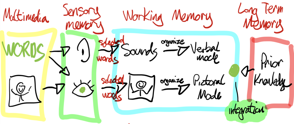 Dual Coding Theory Diagram